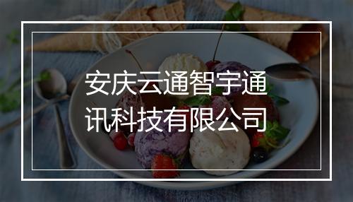 安庆云通智宇通讯科技有限公司