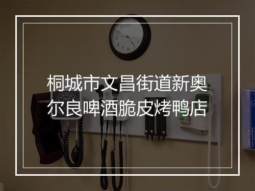 桐城市文昌街道新奥尔良啤酒脆皮烤鸭店