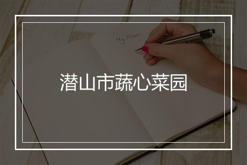 潜山市蔬心菜园