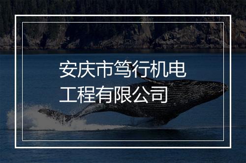 安庆市笃行机电工程有限公司