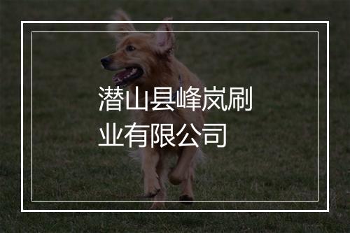 潜山县峰岚刷业有限公司