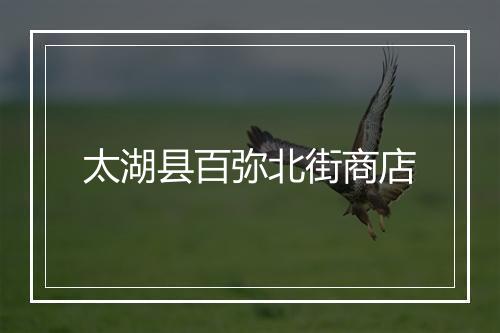 太湖县百弥北街商店