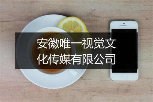 安徽唯一视觉文化传媒有限公司