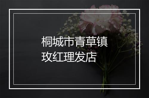 桐城市青草镇玫红理发店