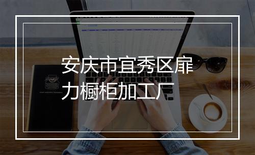 安庆市宜秀区扉力橱柜加工厂