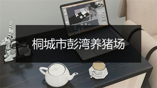 桐城市彭湾养猪场