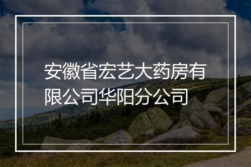 安徽省宏艺大药房有限公司华阳分公司