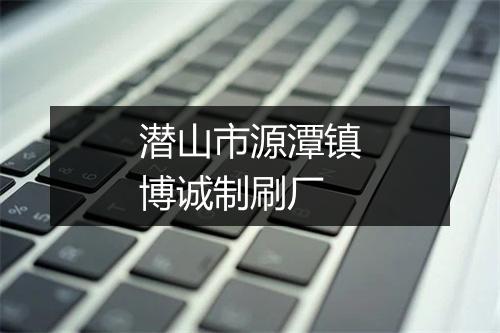 潜山市源潭镇博诚制刷厂