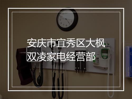 安庆市宜秀区大枫双凌家电经营部