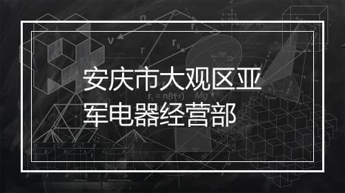 安庆市大观区亚军电器经营部