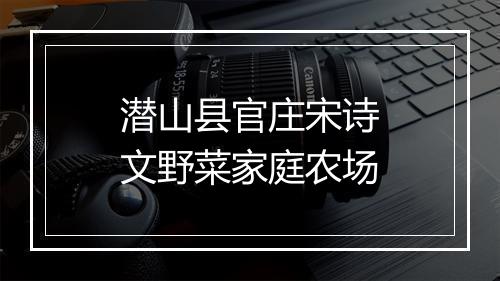 潜山县官庄宋诗文野菜家庭农场