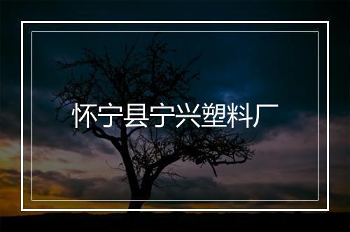 怀宁县宁兴塑料厂