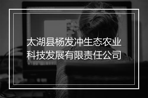 太湖县杨发冲生态农业科技发展有限责任公司