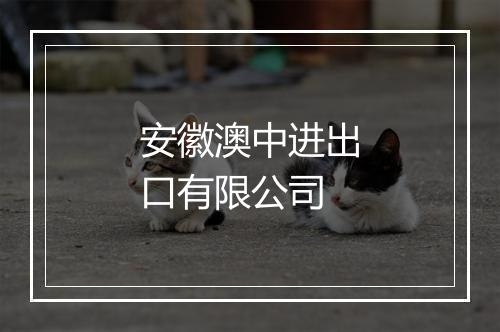 安徽澳中进出口有限公司
