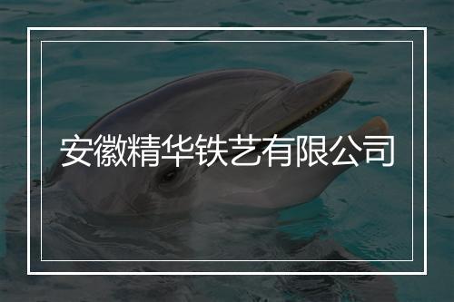 安徽精华铁艺有限公司