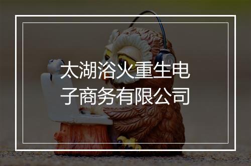 太湖浴火重生电子商务有限公司