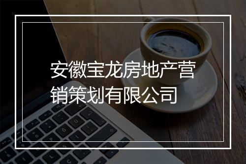 安徽宝龙房地产营销策划有限公司