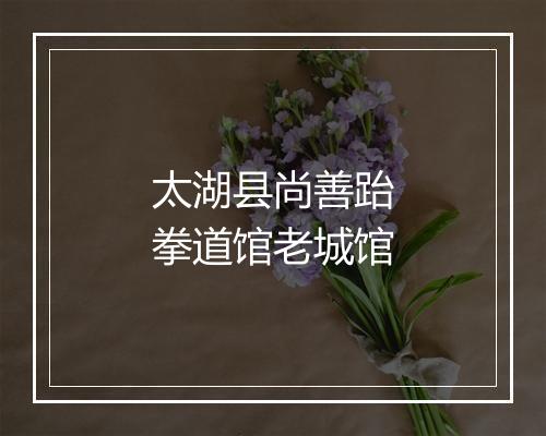 太湖县尚善跆拳道馆老城馆