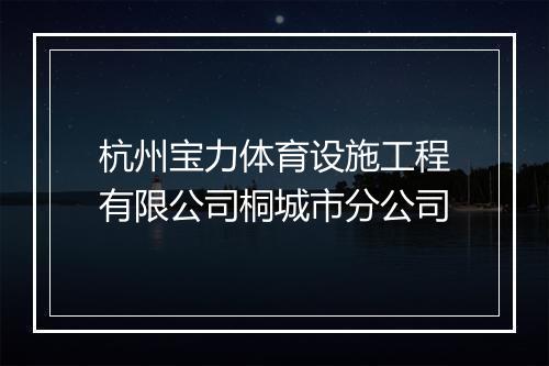 杭州宝力体育设施工程有限公司桐城市分公司
