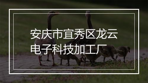 安庆市宜秀区龙云电子科技加工厂