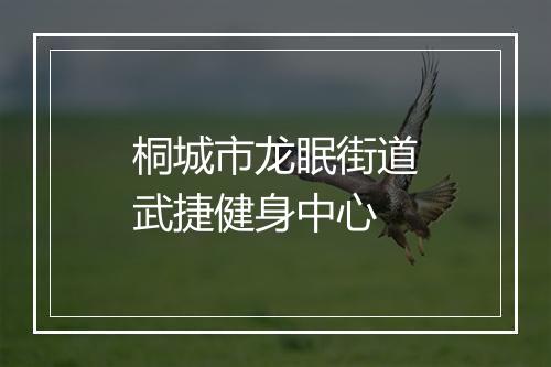 桐城市龙眠街道武捷健身中心