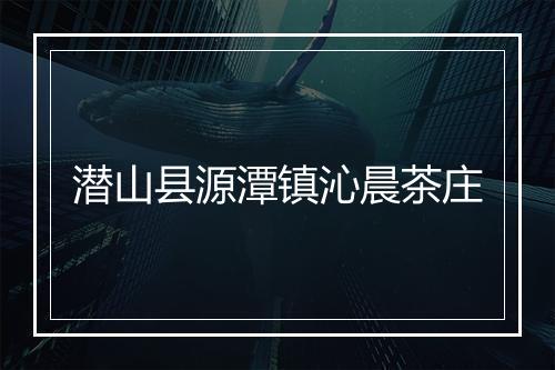 潜山县源潭镇沁晨茶庄