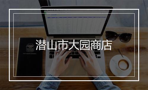 潜山市大园商店