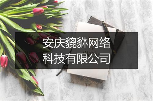 安庆貔貅网络科技有限公司
