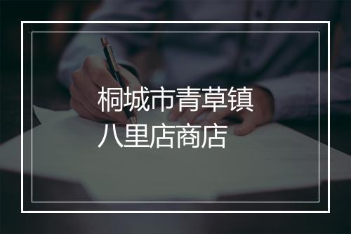 桐城市青草镇八里店商店