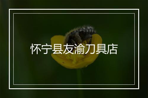 怀宁县友渝刀具店