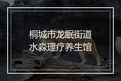 桐城市龙眠街道水淼理疗养生馆