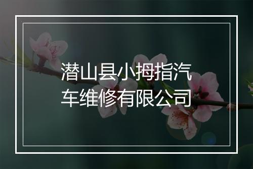 潜山县小拇指汽车维修有限公司