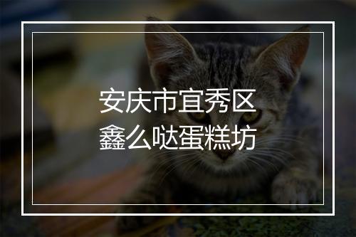 安庆市宜秀区鑫么哒蛋糕坊