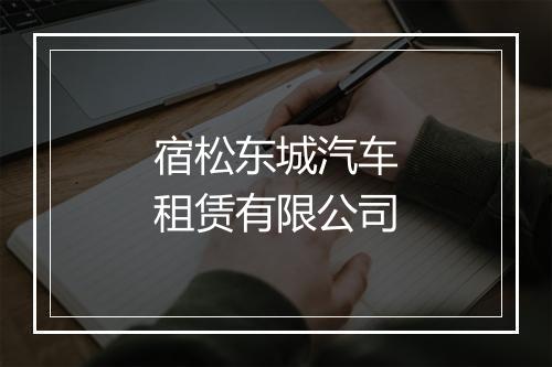 宿松东城汽车租赁有限公司