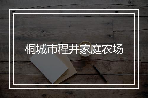 桐城市程井家庭农场