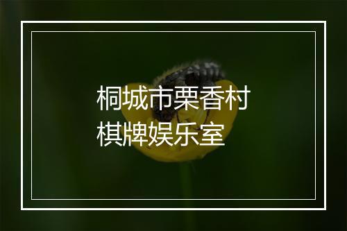 桐城市栗香村棋牌娱乐室