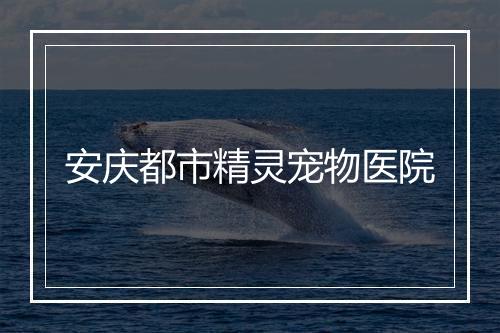 安庆都市精灵宠物医院