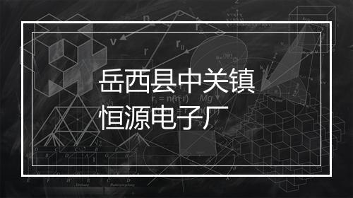 岳西县中关镇恒源电子厂