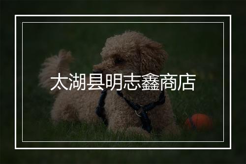 太湖县明志鑫商店
