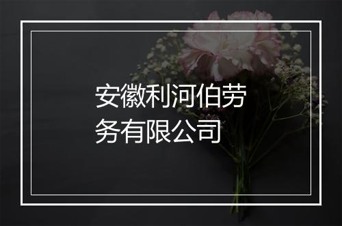 安徽利河伯劳务有限公司