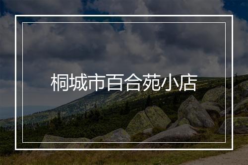 桐城市百合苑小店