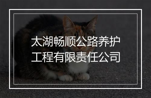 太湖畅顺公路养护工程有限责任公司