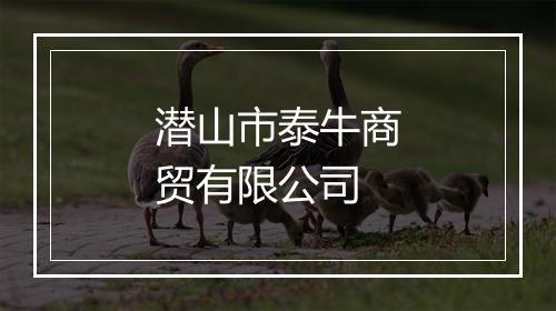 潜山市泰牛商贸有限公司
