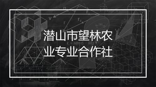 潜山市望林农业专业合作社