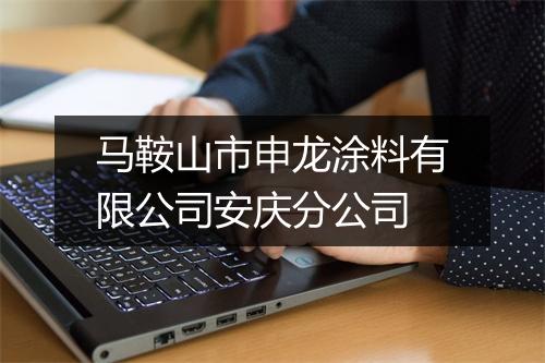 马鞍山市申龙涂料有限公司安庆分公司