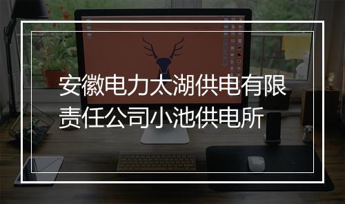 安徽电力太湖供电有限责任公司小池供电所