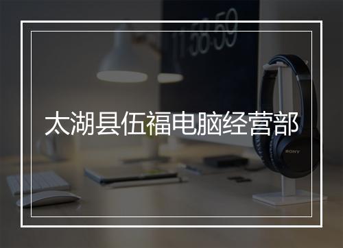 太湖县伍福电脑经营部