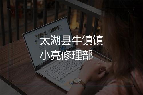 太湖县牛镇镇小亮修理部