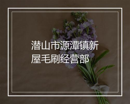 潜山市源潭镇新屋毛刷经营部