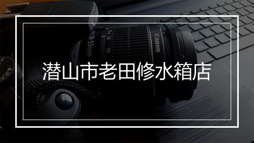 潜山市老田修水箱店